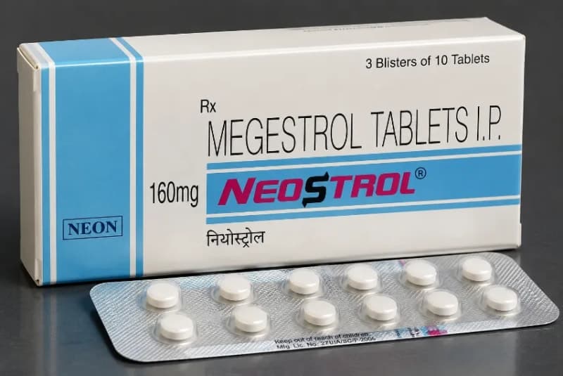 MEGESTROL IP 160 MG TABLETS